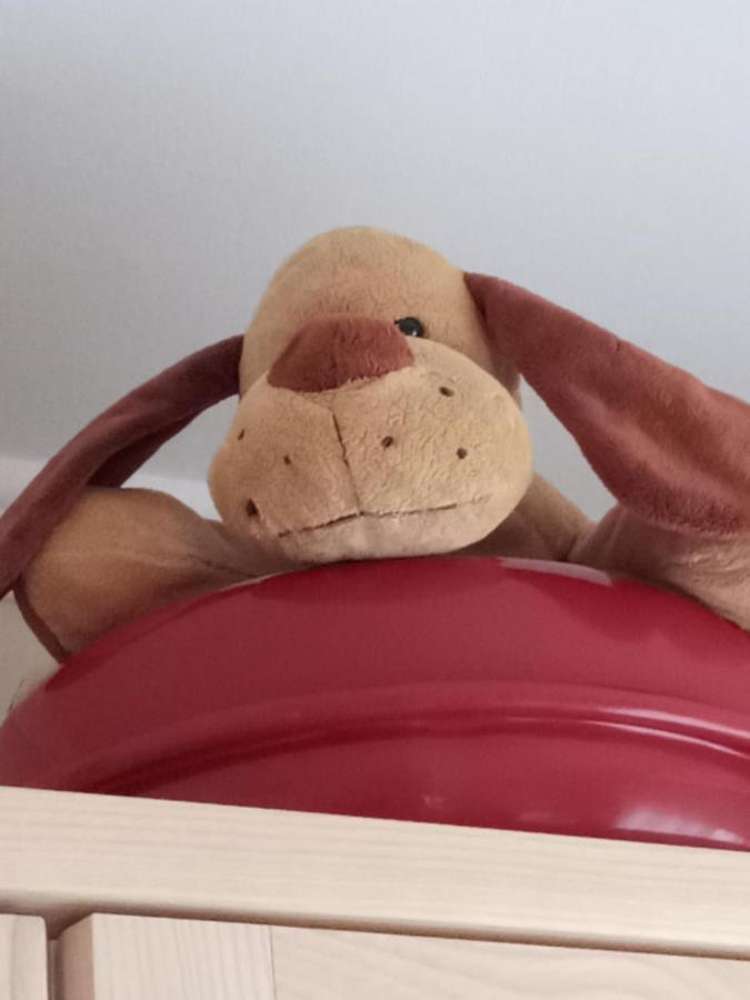 MezőkövesdSt. Benedek Apartmanlakasアパートメント エクステリア 写真