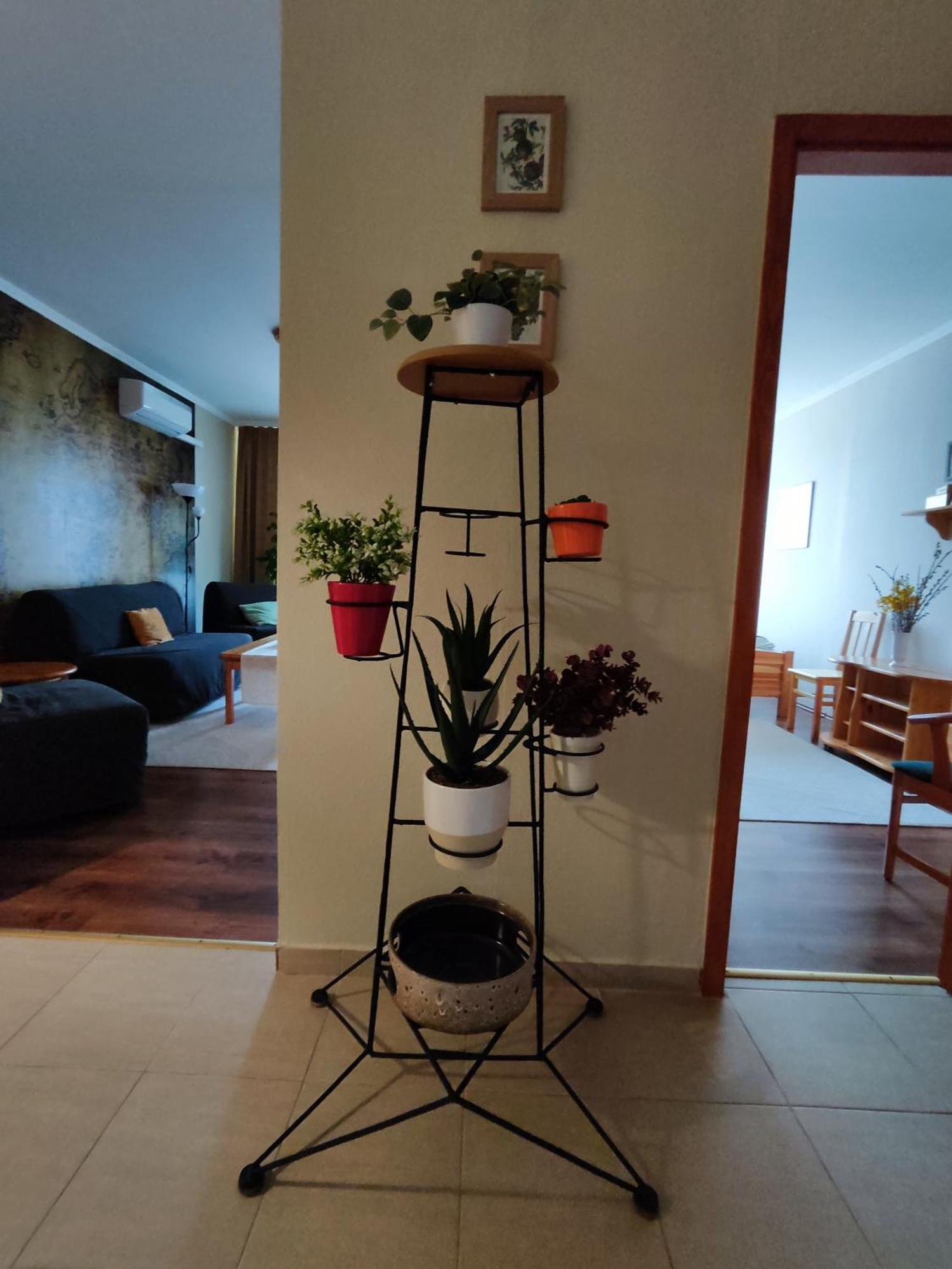 MezőkövesdSt. Benedek Apartmanlakasアパートメント エクステリア 写真