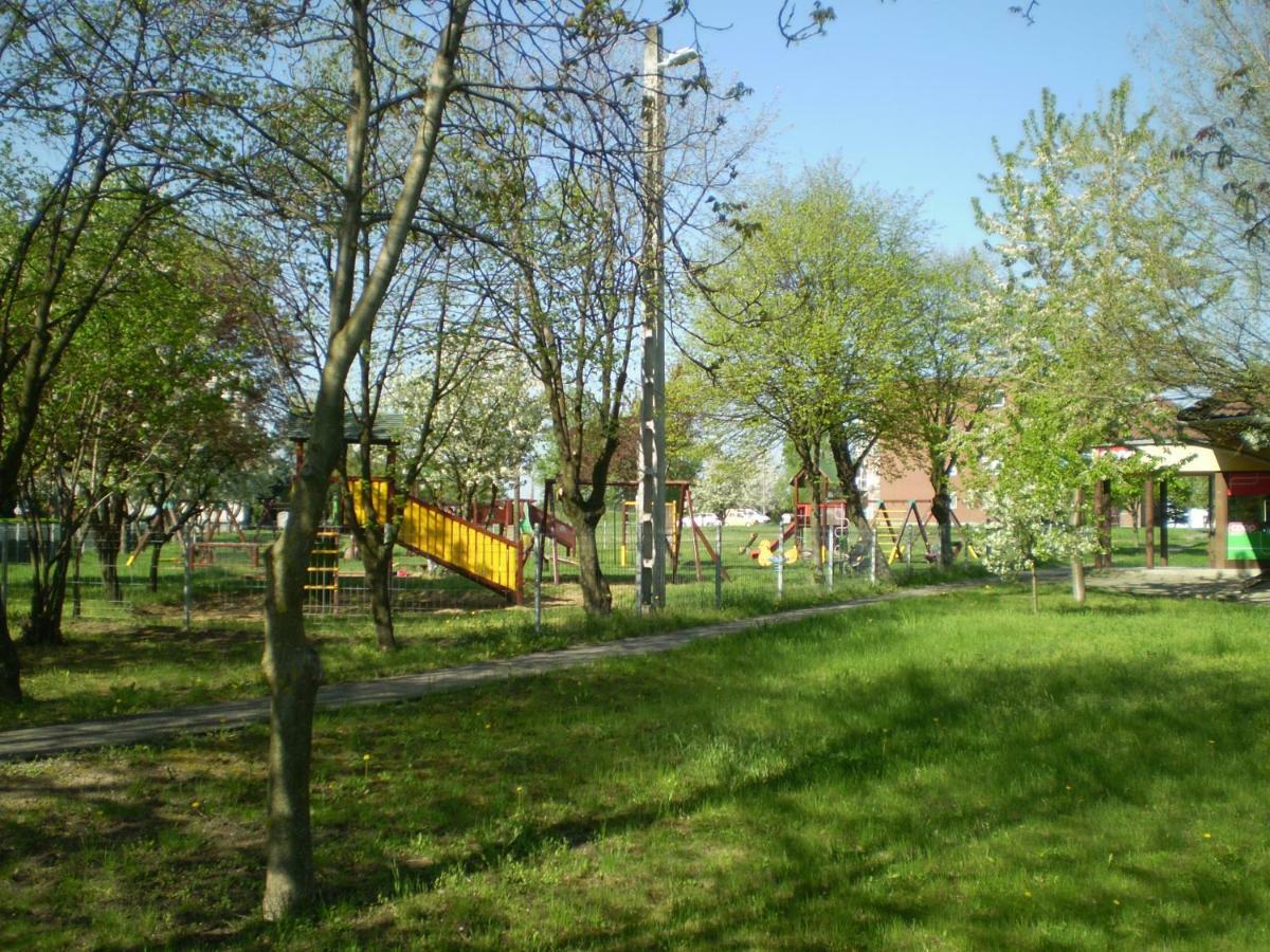 MezőkövesdSt. Benedek Apartmanlakasアパートメント エクステリア 写真